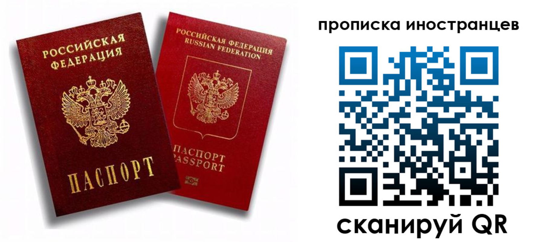 прописка паспорт в Купино